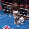 Deontay Wilder KO Ortiz