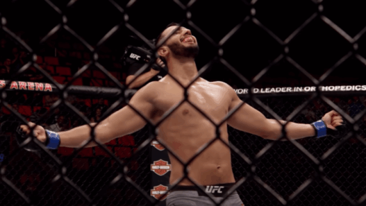 Dominick Reyes UFC