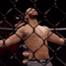 Dominick Reyes UFC