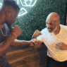 Francis Ngannou Mike Tyson