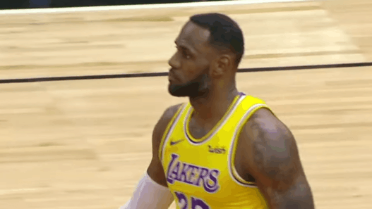 LeBron James Lakers NBA Bulls