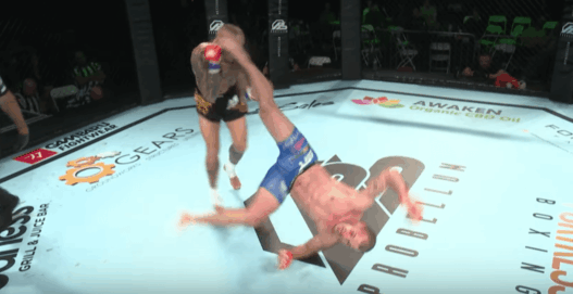 MMA Ross Pearson Davy Gallon KO