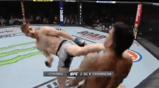 UFC 244 Edmen Shahbazyan KO