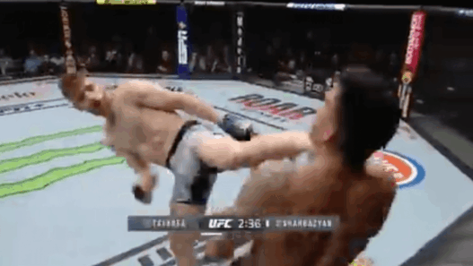 UFC 244 Edmen Shahbazyan KO