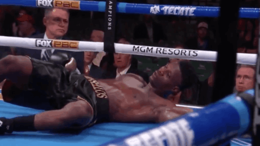 Wilder Brother KO