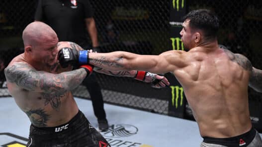 UFC Fight Night: Smith v Rakic