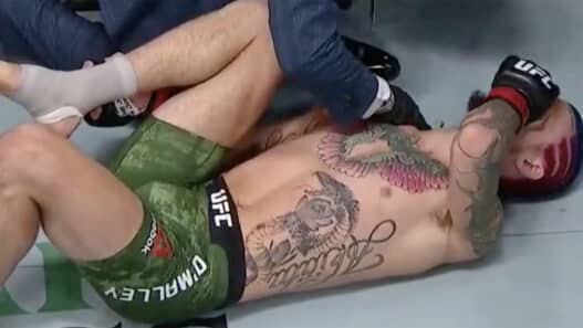 Sean O Malley Marlon Vera UFC 252