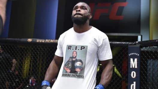 UFC Fight Night: Pitolo v Stewart