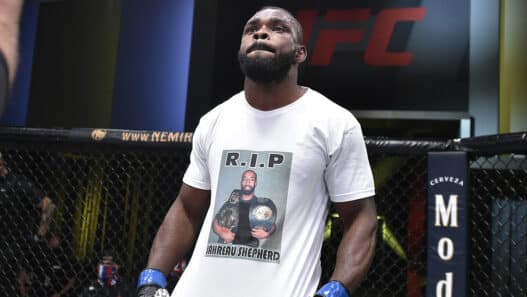 UFC Fight Night: Pitolo v Stewart