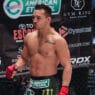 Michael Chandler MMA Bellator