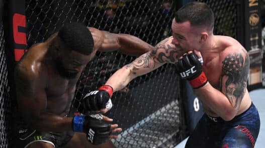 UFC Fight Night: Covington v Woodley