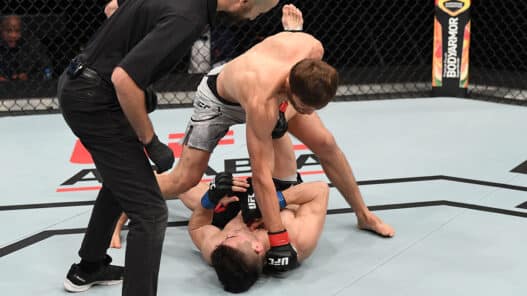 UFC Fight Night: Nurmagomedov v Striegl