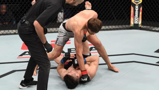 UFC Fight Night: Nurmagomedov v Striegl