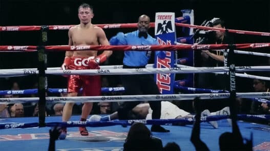 Gennady Golovkin KO