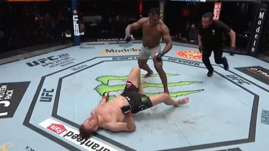 Francis Ngannou KO Stipe Miocic UFC 260