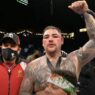 Andy Ruiz Chris Arreola decision