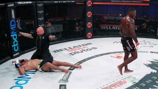 Anthony Johnson Bellator KO