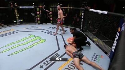 Jiri Prochazka KO Dominick Reyes UFC MMA