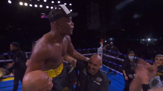 Anderson Silva Julio Cesar Chavez boxe