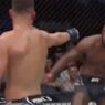 Nate Diaz Leon Edwards UFC 263