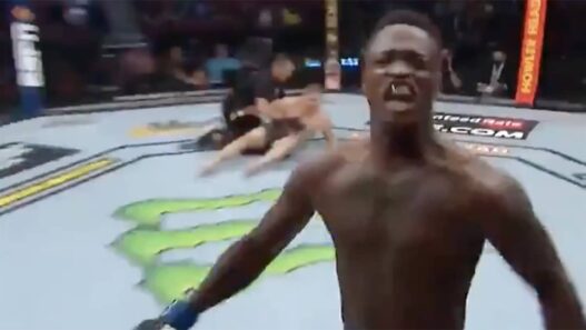UFC 263 KO Terrance McKinney