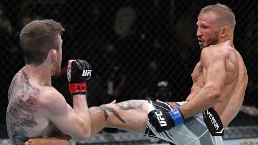 UFC Fight Night: Sandhagen v Dillashaw