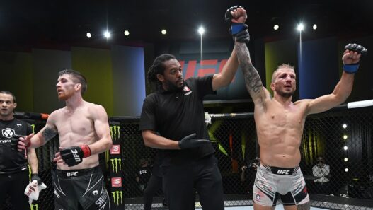 UFC Fight Night: Sandhagen v Dillashaw