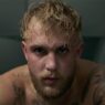Jake Paul boxe