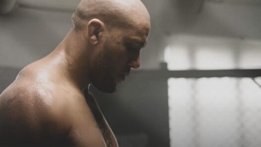 UFC 265 Ciryl Gane Derrick Lewis