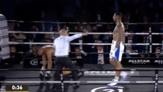 Tony Yoka TKO Petar Milas