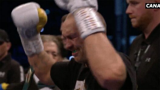 Usyk Joshua revanche