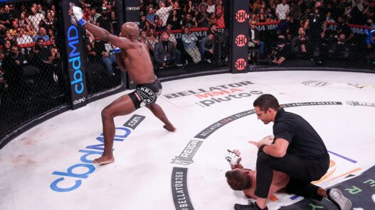 Bellator Corey Anderson KO