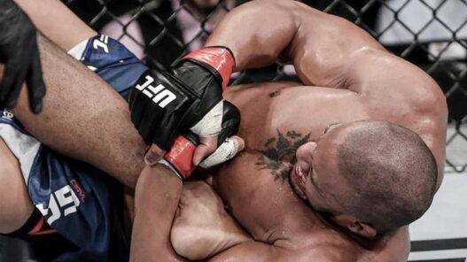 Ciryl Gane Predictions Francis Ngannou