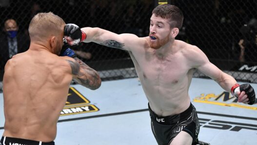 UFC Fight Night: Sandhagen v Dillashaw