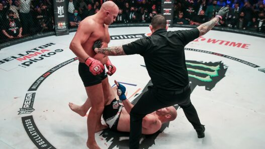 Fedor Emelianenko Johnson Bellator MMA