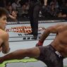 Henry Cejudo Demetrious Johnson UFC MMA