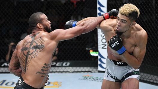 UFC Fight Night: Santos v Walker