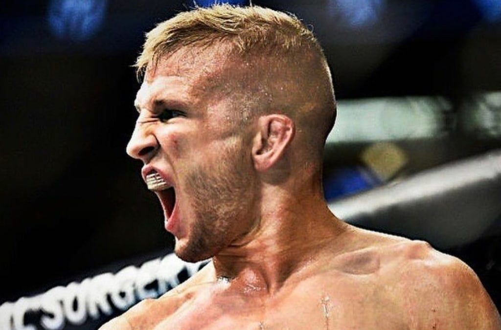 TJ Dillashaw celebration