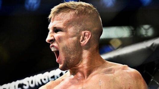 TJ Dillashaw celebration