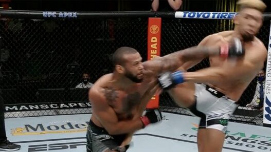 Thiago Santos Johnny Walker UFC
