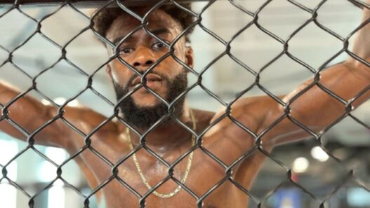 Aljamain Sterling Petr Yan Troll