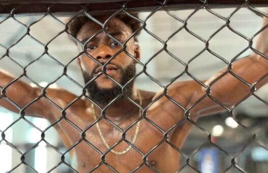 Aljamain Sterling Petr Yan Troll