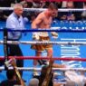 Canelo Alvarez KO Caleb Plant