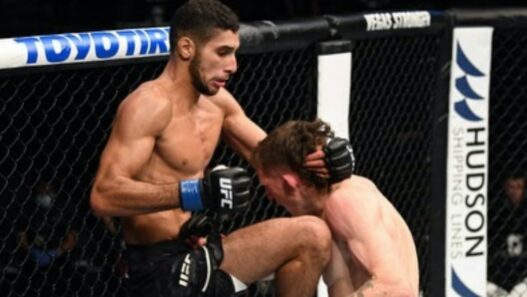 Fares Ziam Annulation Reactions