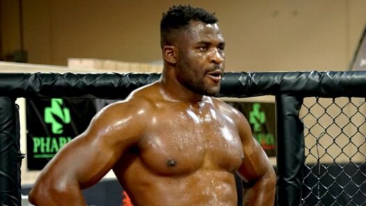 Francis Ngannou Boxe