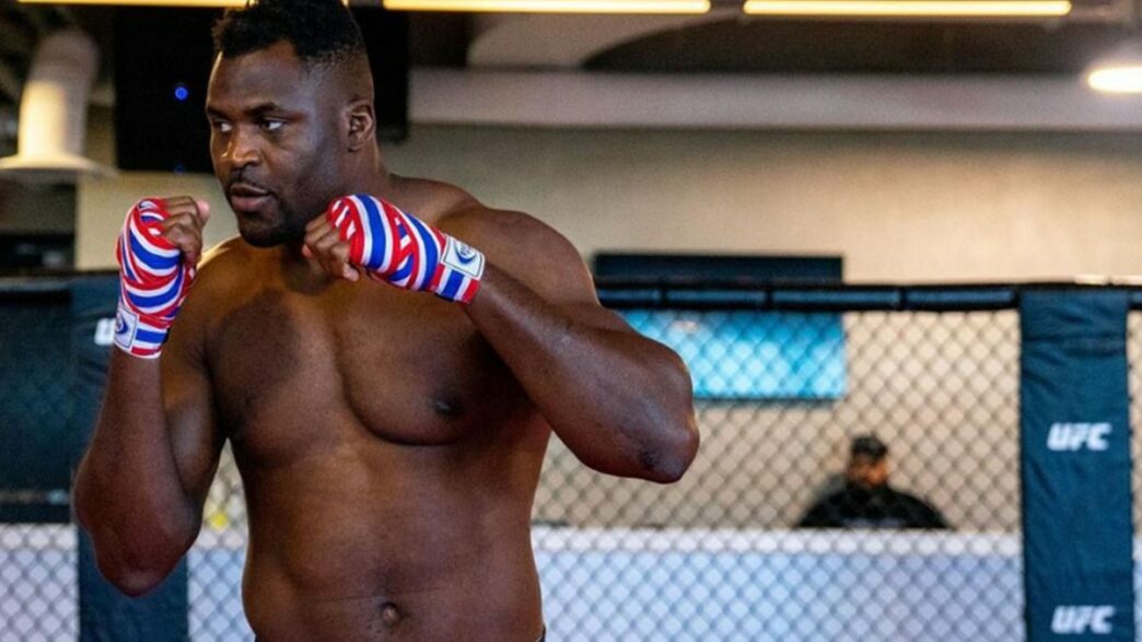 Francis Ngannou, le meilleur striker de l'organisation selon lui