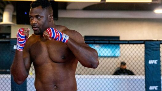 Francis Ngannou, le meilleur striker de l'organisation selon lui
