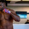Francis Ngannou, le meilleur striker de l'organisation selon lui