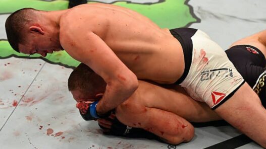 Nate Diaz Conor McGregor Idee