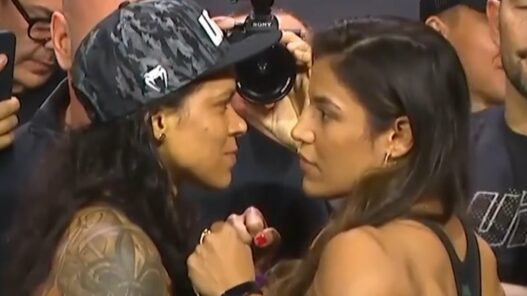 Revanche Julianna Pena Amanda Nunes